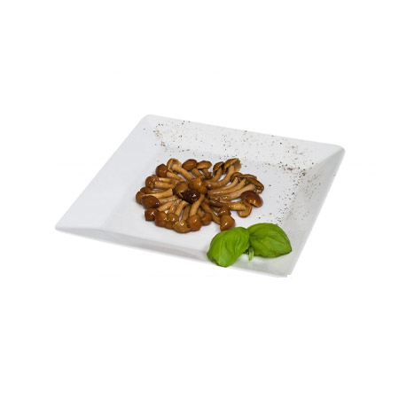 Chiodini Nameko